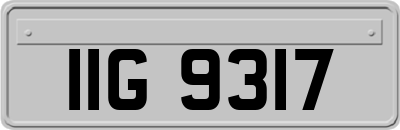 IIG9317