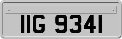 IIG9341