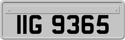 IIG9365