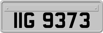IIG9373