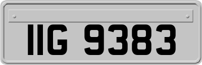 IIG9383