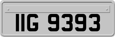 IIG9393