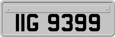 IIG9399