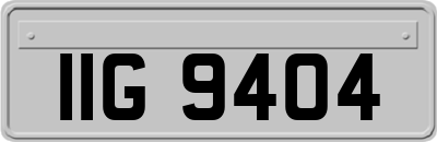 IIG9404