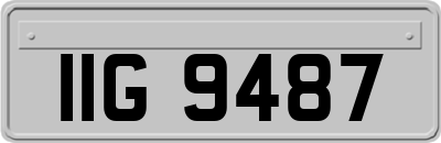 IIG9487
