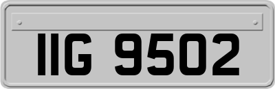 IIG9502