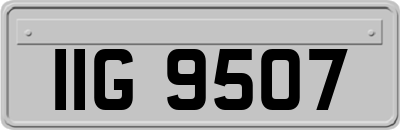 IIG9507