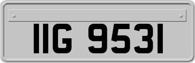 IIG9531