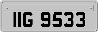 IIG9533