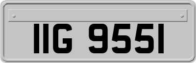 IIG9551