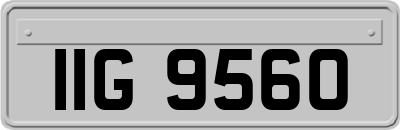 IIG9560