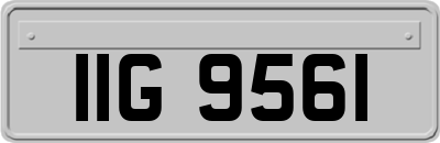 IIG9561