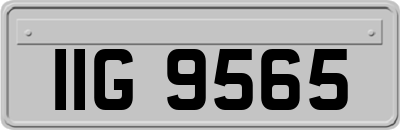 IIG9565
