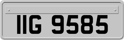 IIG9585