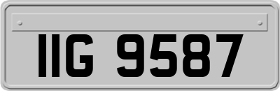 IIG9587