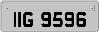 IIG9596