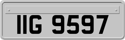 IIG9597