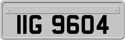 IIG9604