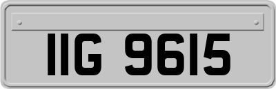 IIG9615