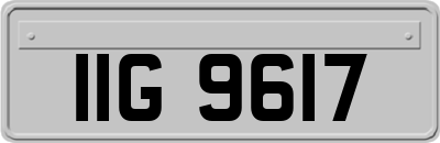 IIG9617