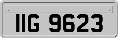 IIG9623
