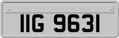 IIG9631
