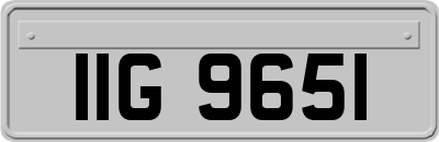 IIG9651