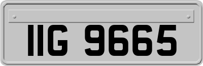 IIG9665