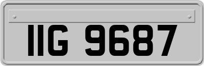 IIG9687