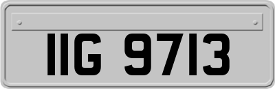 IIG9713