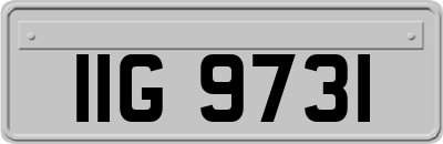 IIG9731