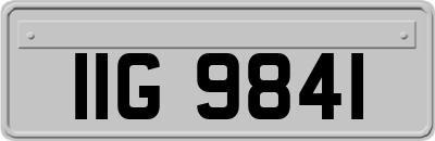 IIG9841