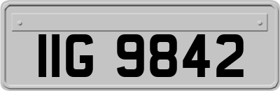 IIG9842