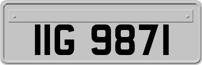 IIG9871