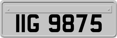 IIG9875