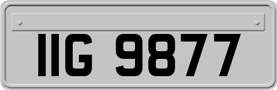 IIG9877