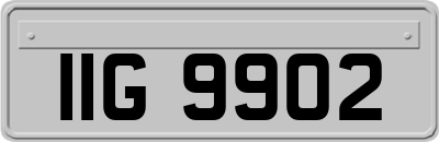 IIG9902