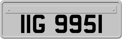 IIG9951