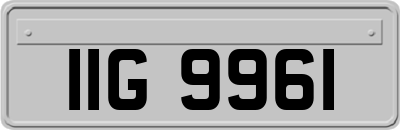 IIG9961