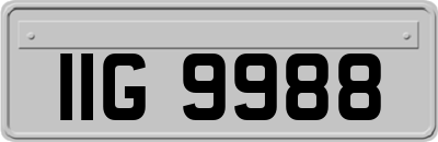 IIG9988