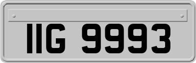IIG9993