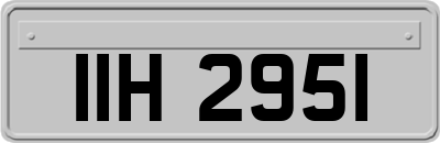 IIH2951