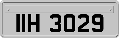 IIH3029