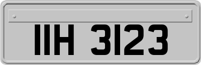 IIH3123