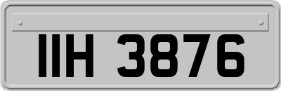 IIH3876