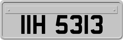 IIH5313