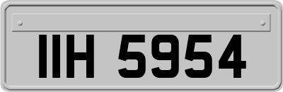 IIH5954