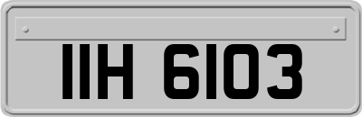 IIH6103