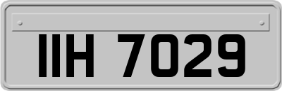 IIH7029