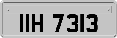 IIH7313